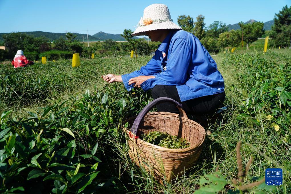 奔驰宝马游戏首页
